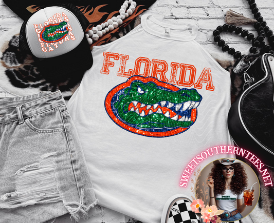 Florida Gators College Football