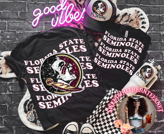 Florida State Seminoles College Football