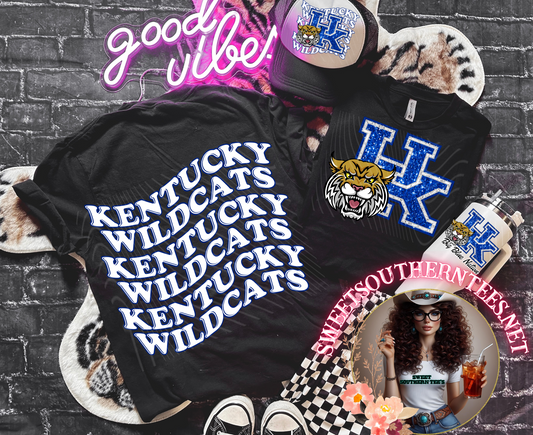 Kentucky Wildcats College Football- 4 piece