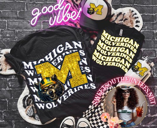 Michigan Wolverines College Football- 4 piece