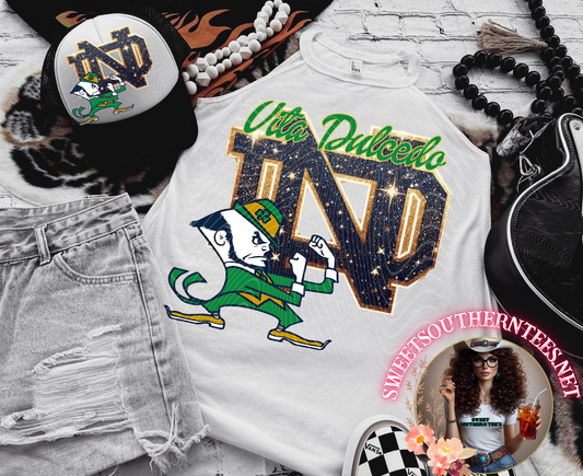 Notre Dame Fighting Irish College Football