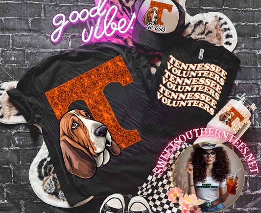 Tennessee Volunteers College football- 4 piece