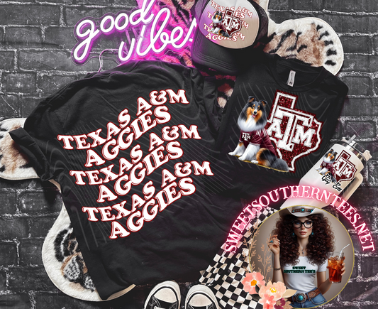 Texas A&M Aggies College Football- 4 piece